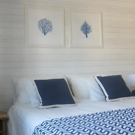 Mar Salgado Ericeira