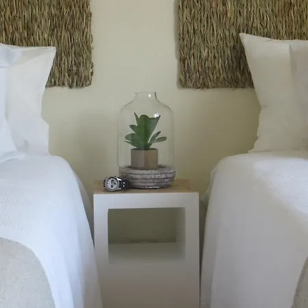 Mar Salgado Ericeira