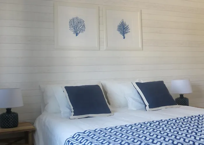 Mar Salgado 埃里塞拉