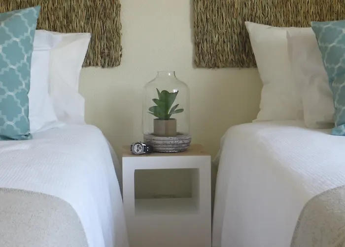 Mar Salgado 埃里塞拉